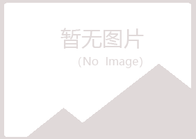 金山区白易会计有限公司